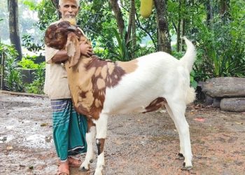 বিছানা ছাড়া ঘুমায় না ‘নবাব সিরাজউদ্দৌলা’
