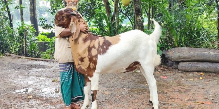 বিছানা ছাড়া ঘুমায় না ‘নবাব সিরাজউদ্দৌলা’