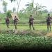 সাতক্ষীরা সীমান্তে সতর্ক বিজিবি, সবার ঈদের ছুটি বাতিল