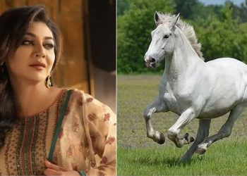 ঘোড়ার মাংসের বাণিজ্য নিষেধ চেয়ে হাইকোর্টে জয়া আহসানের রিট