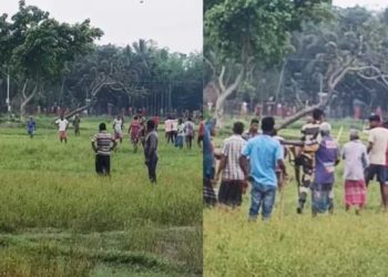 সীমান্তে গরু চুরি করতে এসে ধাওয়া খেল বিএসএফ