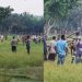 সীমান্তে গরু চুরি করতে এসে ধাওয়া খেল বিএসএফ
