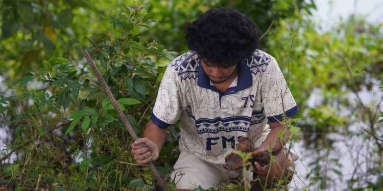 বজ্রপাতে প্রিয়জনের মৃত্যু, ১০০ কিমি জুড়ে বৃক্ষরোপণ সাকিবের
