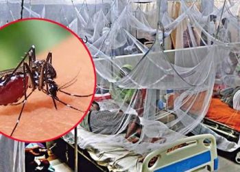 ডেঙ্গুতে আরো ২ জনের মৃত্যু, হাসপাতালে ভর্তি ১৫৭