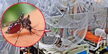 ডেঙ্গুতে আরো ২ জনের মৃত্যু, হাসপাতালে ভর্তি ১৫৭
