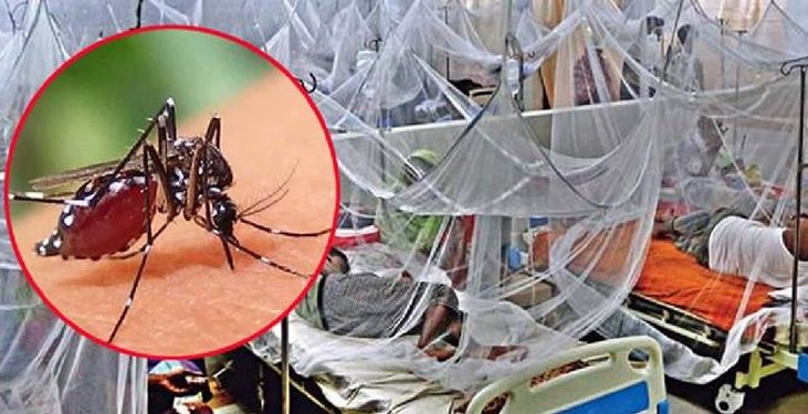 ডেঙ্গুতে আরো ২ জনের মৃত্যু, হাসপাতালে ভর্তি ১৫৭