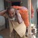 নিজের ওজন ৪৩ কেজি, বহন করেন ১০০ কেজি!
