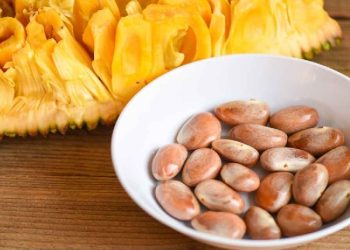 কাঁঠালের বিচি খেলে মিলবে ৯ চমকপ্রদ উপকার