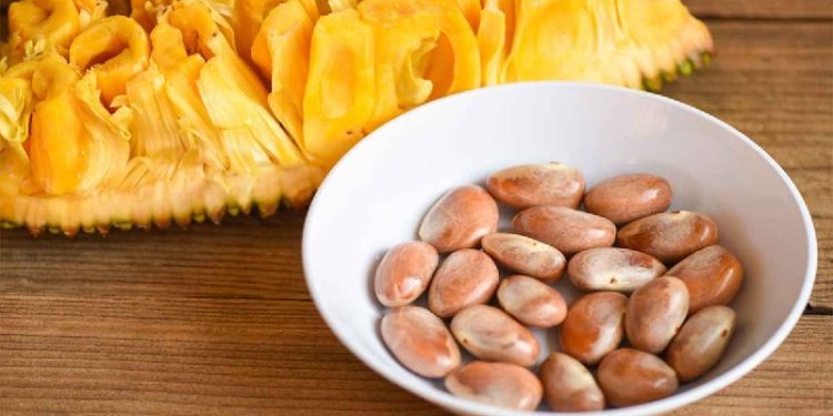 কাঁঠালের বিচি খেলে মিলবে ৯ চমকপ্রদ উপকার