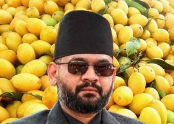 এবার ভারতীয় আমে নিষেধাজ্ঞা দিলো নেপাল