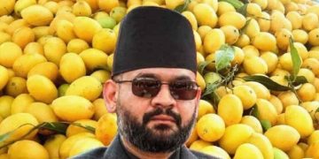 এবার ভারতীয় আমে নিষেধাজ্ঞা দিলো নেপাল