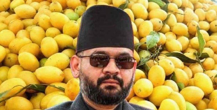 এবার ভারতীয় আমে নিষেধাজ্ঞা দিলো নেপাল