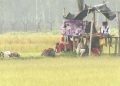 লালমনিরহাট সীমান্তে পুশইন ব্যর্থ, লোকজন সরিয়ে নিলো বিএসএফ