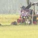 লালমনিরহাট সীমান্তে পুশইন ব্যর্থ, লোকজন সরিয়ে নিলো বিএসএফ