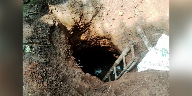 টাঙ্গাইলে ছাগলকে বাঁচাতে গিয়ে বাবা-ছেলেসহ ৪ জনের মৃত্যু