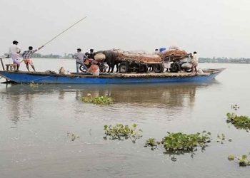 তিস্তার পানিতে ডুবে গেছে ৫ জেলার নিম্নাঞ্চল