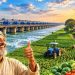 পদ্মা ব্যারাজ: বদলে যাবে ২৪ জেলার ভাগ্য, সুফল পৌঁছাবে সারাদেশে