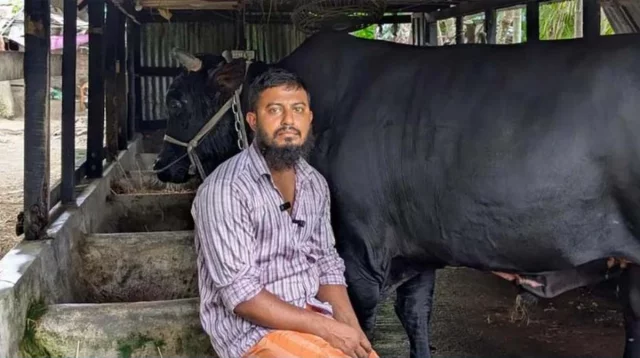 খালেদা জিয়াকে ‘কালো মানিক’ উপহার দিতে চাওয়া সেই সোহাগ মৃধা গ্রেপ্তার