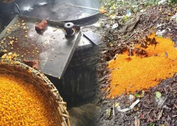 বুটের ডালে টেক্সটাইলের রং! উৎপাদন বন্ধের নির্দেশ