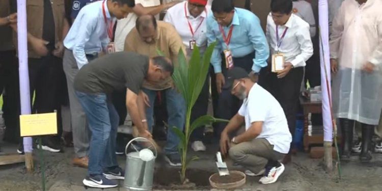 আগামী ৫ বছরে ২৫ কোটি গাছ লাগাবে সরকার: প্রধানমন্ত্রী
