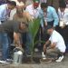 আগামী ৫ বছরে ২৫ কোটি গাছ লাগাবে সরকার: প্রধানমন্ত্রী