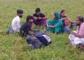 ঝিনাইদহের সীমান্ত দিয়ে ৬ জনকে পুশইন চেষ্টা রুখে দিল বিজিবি