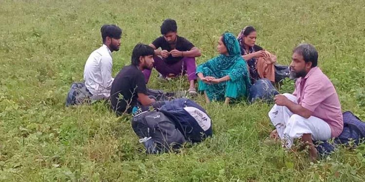 ঝিনাইদহের সীমান্ত দিয়ে ৬ জনকে পুশইন চেষ্টা রুখে দিল বিজিবি