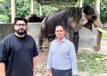বগুড়া থেকে উদ্ধার ‘বাদশাহ বাহাদুর’কে দেখতে চিড়িয়াখানায় প্রধানমন্ত্রীর প্রতিনিধিদল