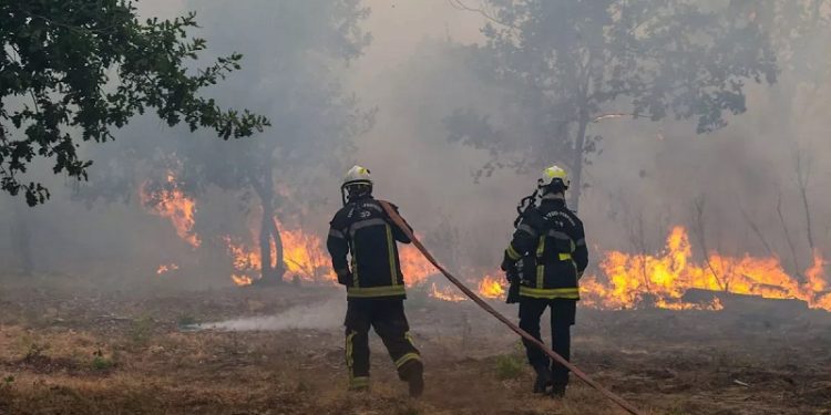 স্পেনে ভয়াবহ দাবানল, নিয়ন্ত্রণের বাইরে পরিস্থিতি