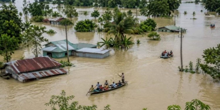 বন্যা ও পাহাড় ধসে সাত জেলায় প্রাণহানি বেড়ে ৫৪