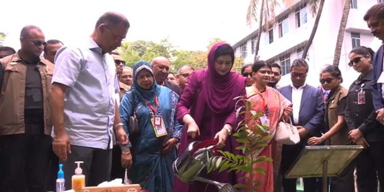 ঢাকা মেডিকেলে বৃক্ষরোপণ কর্মসূচি উদ্বোধন করলেন প্রধানমন্ত্রী
