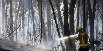 দাবানলে পুড়ছে স্পেন, প্রাণ গেল অন্তত ১২ জনের