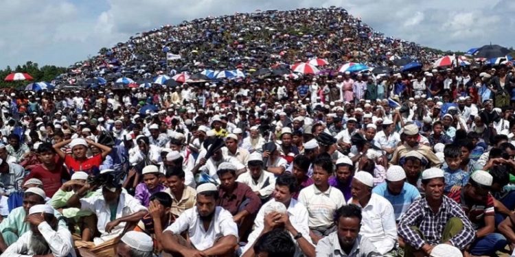 ৩ লাখ ৯ হাজার রোহিঙ্গাকে স্বীকৃতি দিয়েছে মিয়ানমার