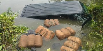 পুলিশের ধাওয়া খেয়ে পুকুরে মাইক্রোবাস, ভেসে উঠলো ৯ বস্তা গাঁজা