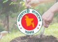 ৬ মাসে ২ কোটির বেশি গাছ রোপণ করেছে সরকার