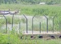 বিএসএফের গুলিতে বাংলাদেশি নিহত