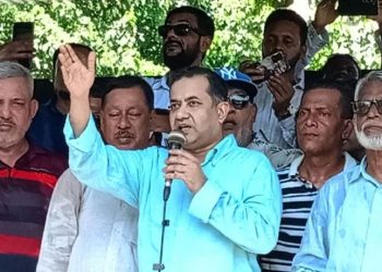 ‘আপা আপা করিস নারে, আপা আর আসবে নারে’