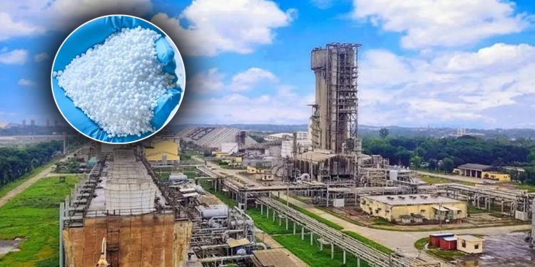 গ্যাস সরবরাহ স্বাভাবিক, ফের ইউরিয়া উৎপাদনে যাচ্ছে সিইউএফএল