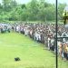 অপ্রতীমের প্রথম জানাজা সম্পন্ন