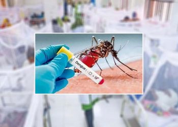 ডেঙ্গুতে আরও ৪ জনের মৃত্যু, হাসপাতালে নতুন ভর্তি ১৩১৪