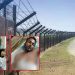 বাংলাদেশি ভেবে দুজনকে বিএসএফের গুলি, পরে জানা গেল তারা ভারতীয় নাগরিক