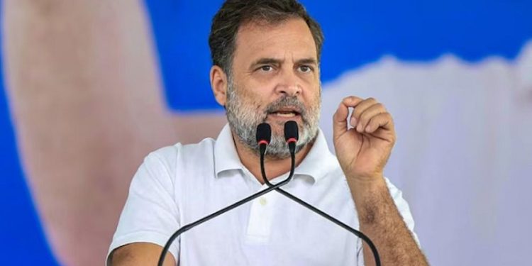 মোদি, আপনি যা খুশি করুন, আমরা পিছু হটব না: রাহুল গান্ধী