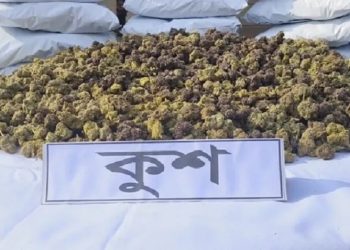 বাংলাদেশে ঢুকছে নতুন মাদক ‘কুশ’: কতটা বিপজ্জনক এই মাদক?